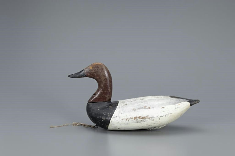 Taylor Boyd – High-head Canvasback – 2019