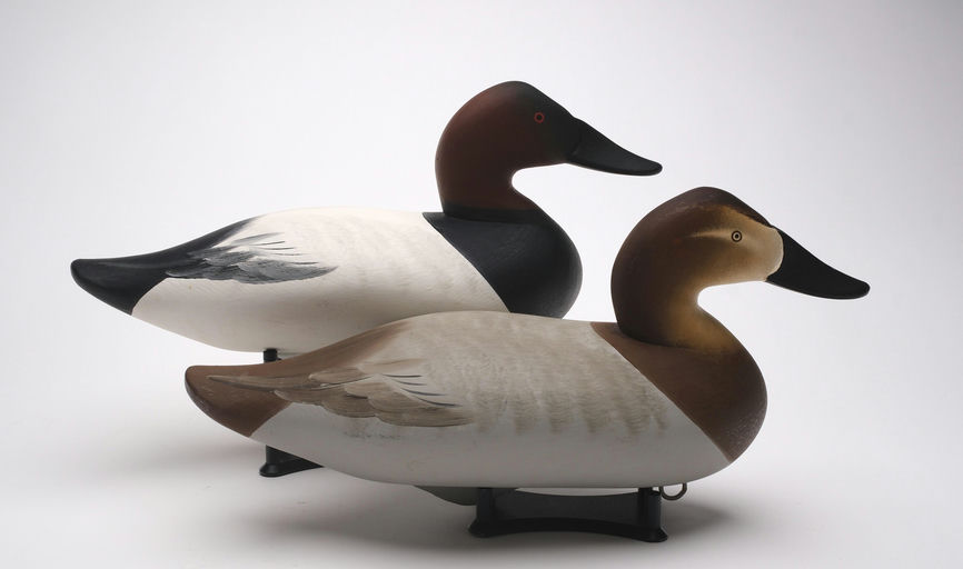 Charlie Joiner – Pair of Canvasback – 2026