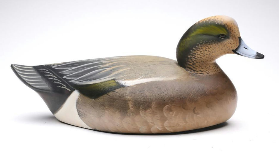 Sean Sutton – Wigeon – 2024