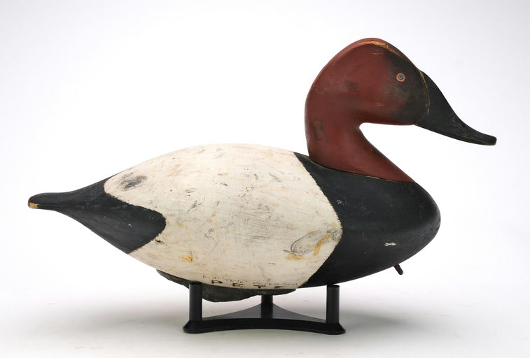 Pete Peterson – Canvasback – 2024