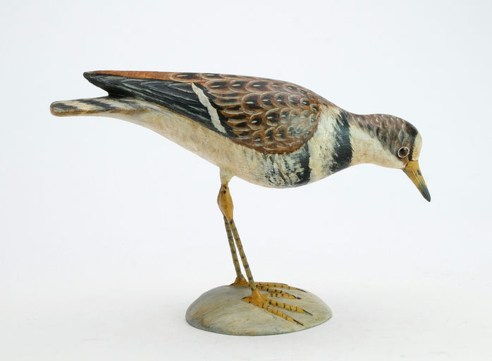 Reggie Birch – Killdeer – 2025