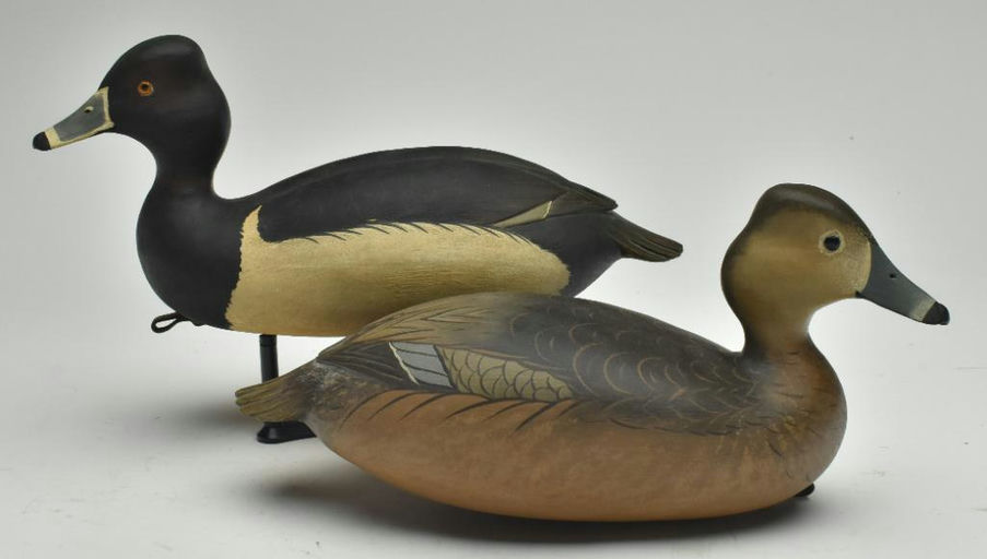 Bob White – Pair of Ringneck – 2023