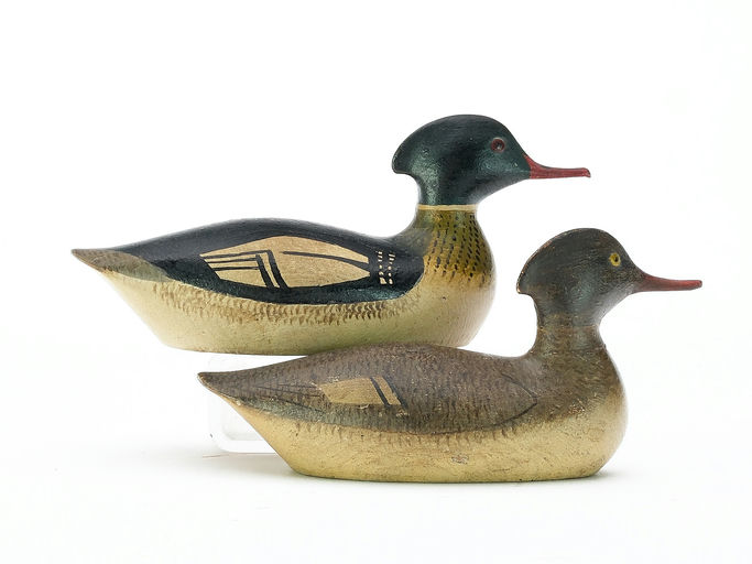 George Boyd – Red-breasted Merganser – 2025