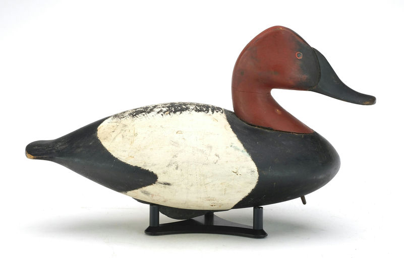 Pete Peterson – Canvasback – 2024