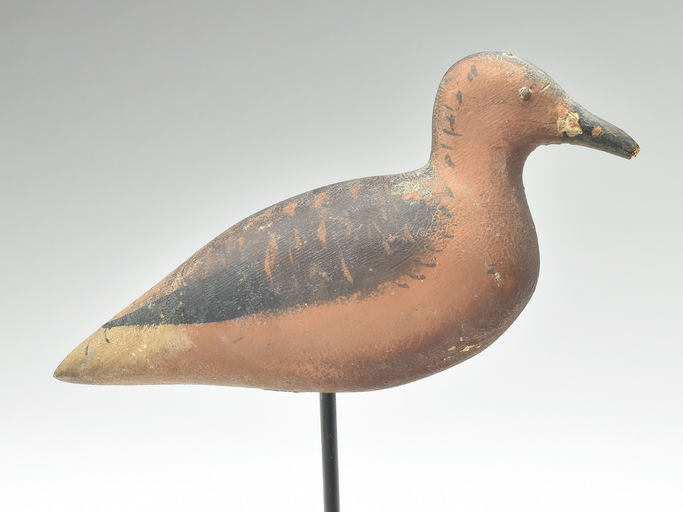Dodge Factory – Red Knot – 2023