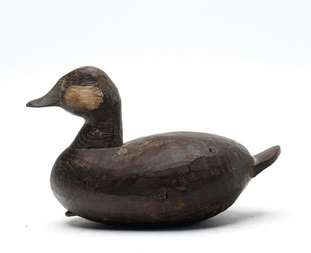 Mike Lovitt – Ruddy Duck – 2026