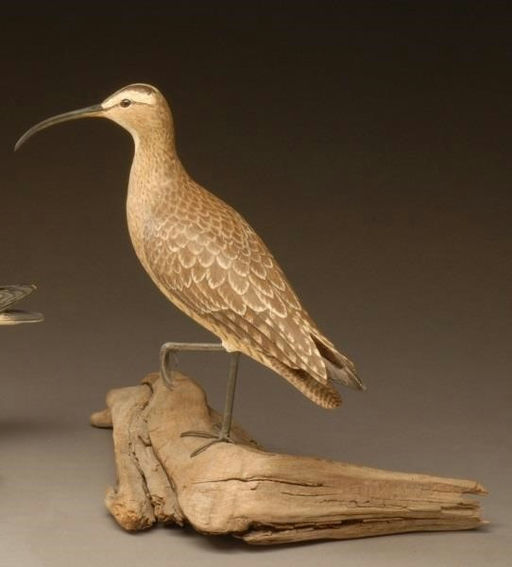 Mark Holland – Whimbrel – 2008