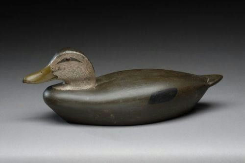 Reginald I. Culver – Black Duck – 2007