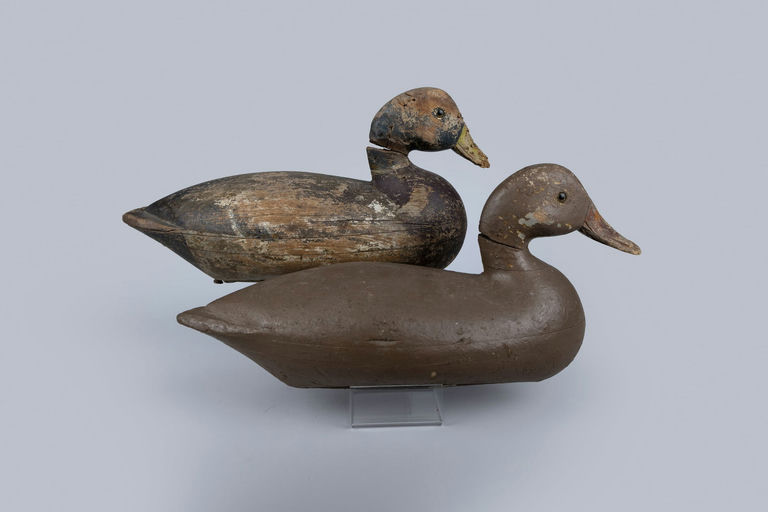 Charles Perdew – Mallard Pair – 2026