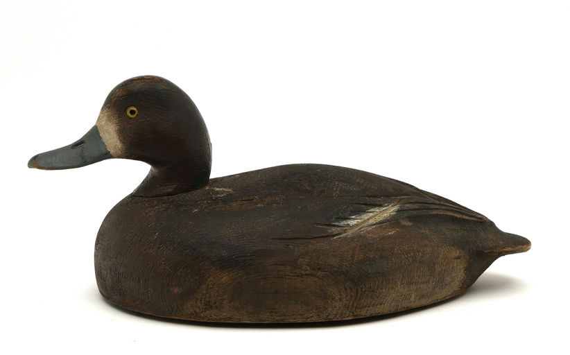 Ben Schmidt – Bluebill Hen – 2025