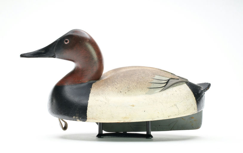 Ferdinand Bach – Canvasback – 2025