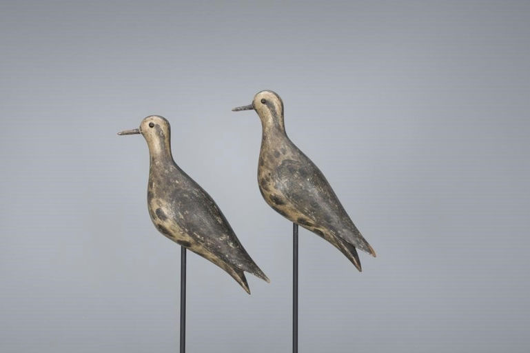 Joseph Lincoln – Golden Plover Pair – 2017