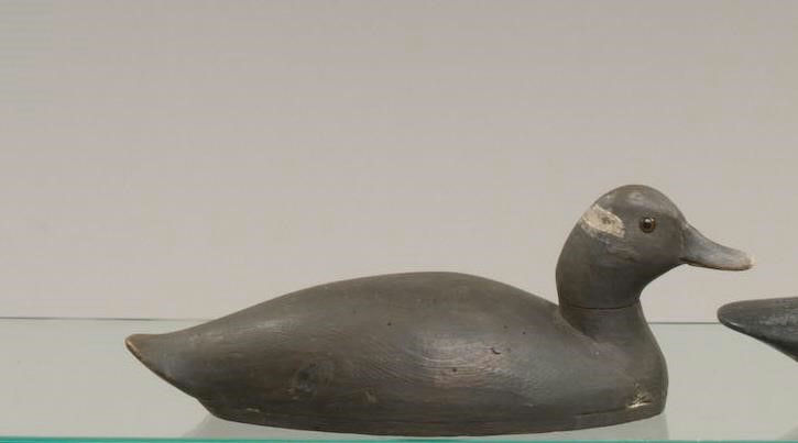 Robert Renardson – Bufflehead Hen – 2009
