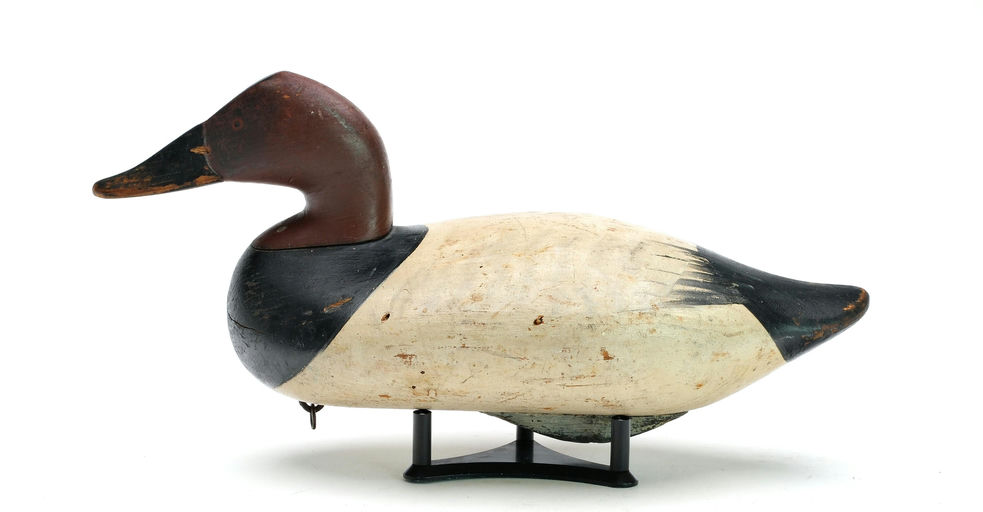 R. Madison Mitchell – Canvasback – 2025