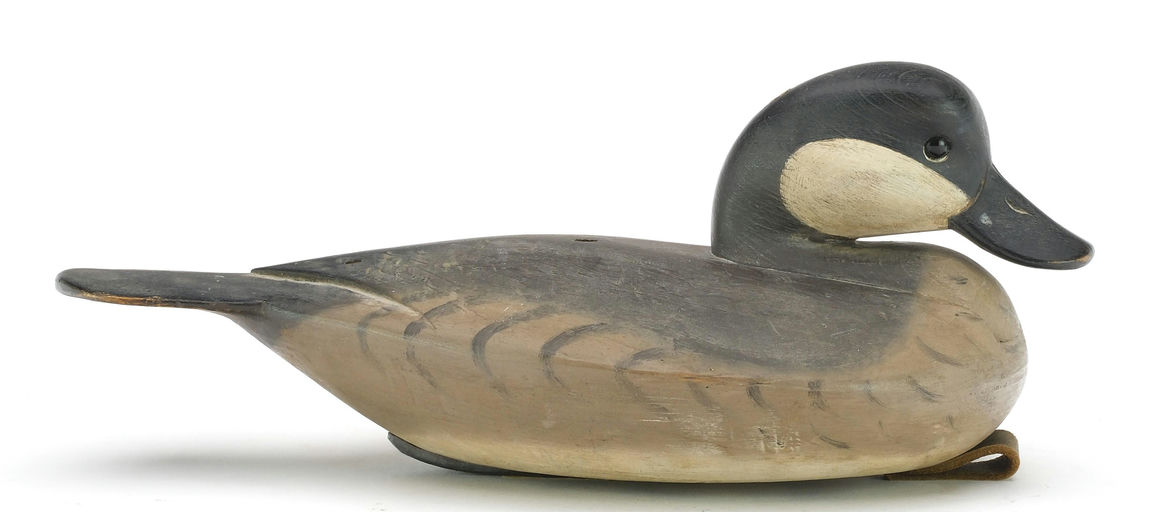 Pete Peterson – Ruddy Duck – 2024