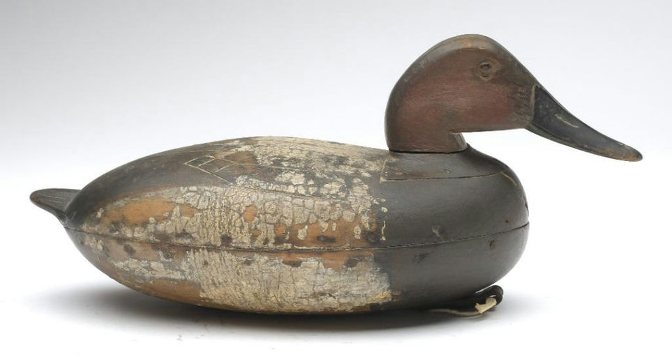 Dan English – Canvasback – 2023