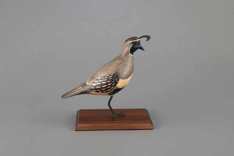 Bill Gibian – Valley Quail – 2025