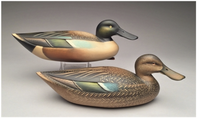 Sean Sutton – Pair of Shoveler – 2017