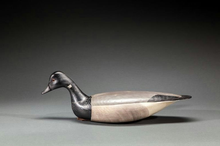 Hurley Conklin – Swimming Brant – 2015