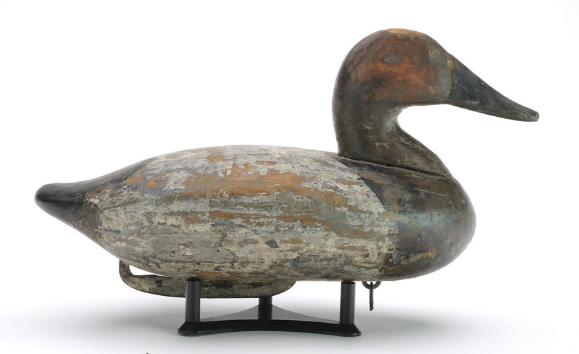 John Daddy Holly – Canvasback – 2024