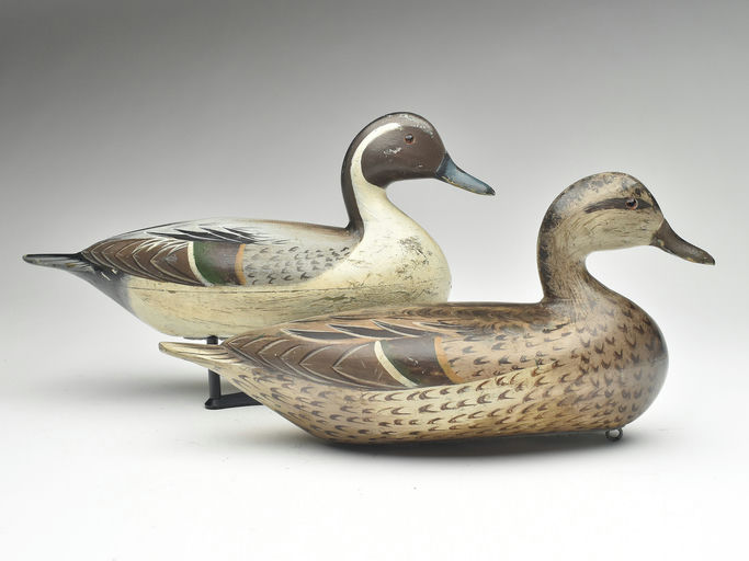 Charles Perdew – Pair of Pintail – 2023