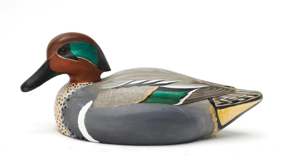 Ed Snyder – Green-winged Teal – 2026