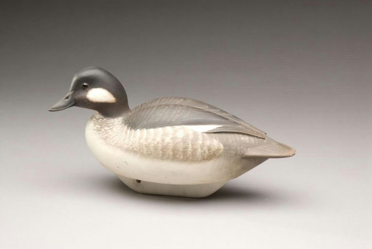 William Schultz – Bufflehead Hen – 2009