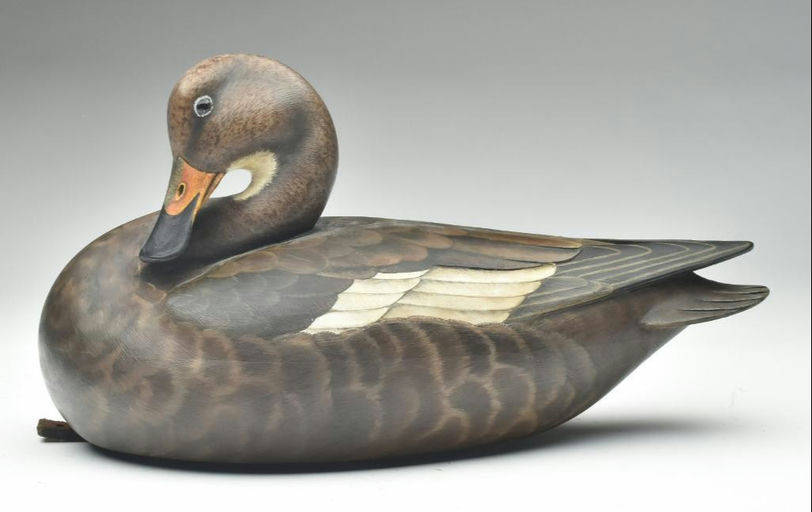 Bill Gibian – Labrador Duck Hen – 2023