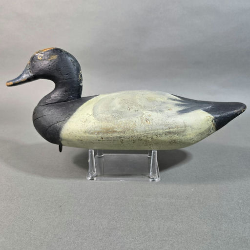 Holly Family – Scaup – 2026