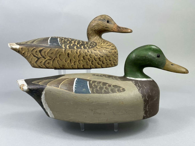 Lester Beattie – Mallard Duck – 2026