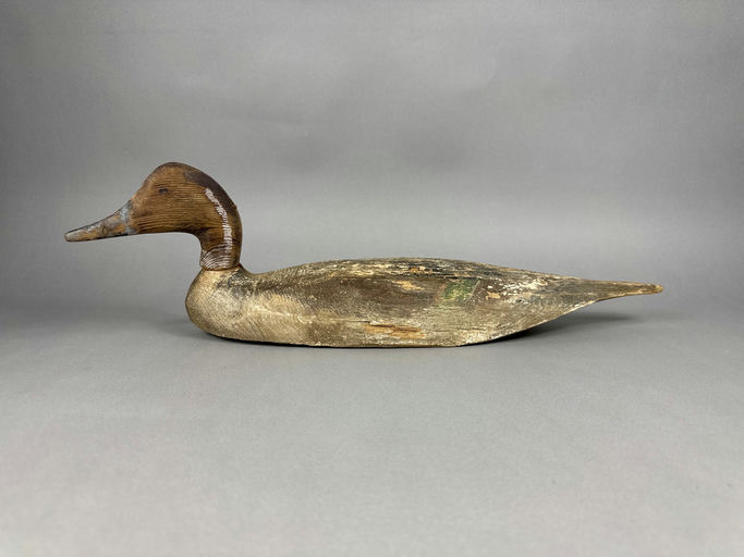 Lloyd Tyler – Pintail – 2026