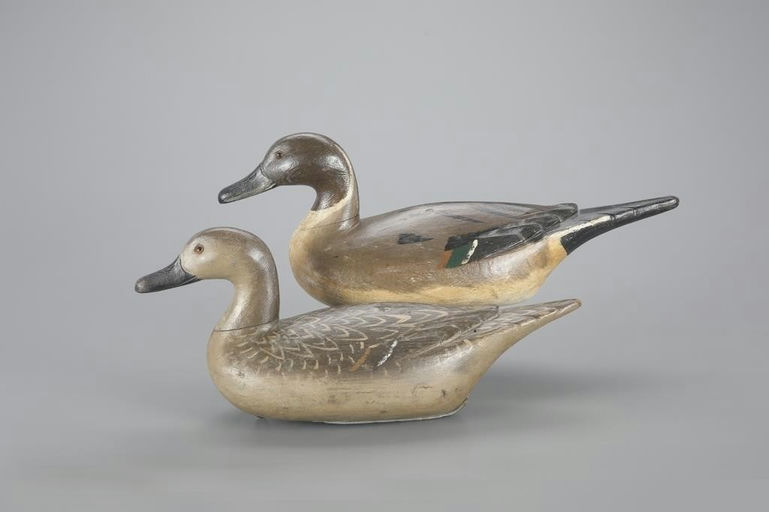 Richard Janson – Pintail Pair – 2023