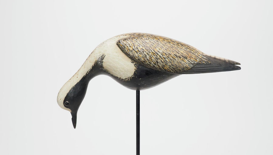 Bill Gibian – Golden Plover – 2025