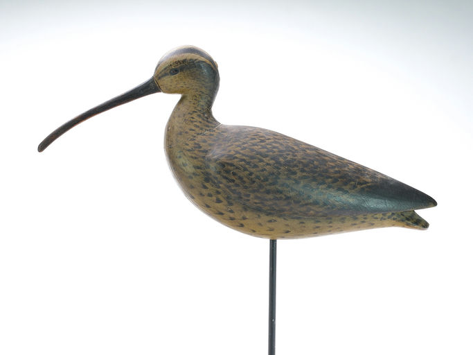 Mark McNair – Curlew – 2025