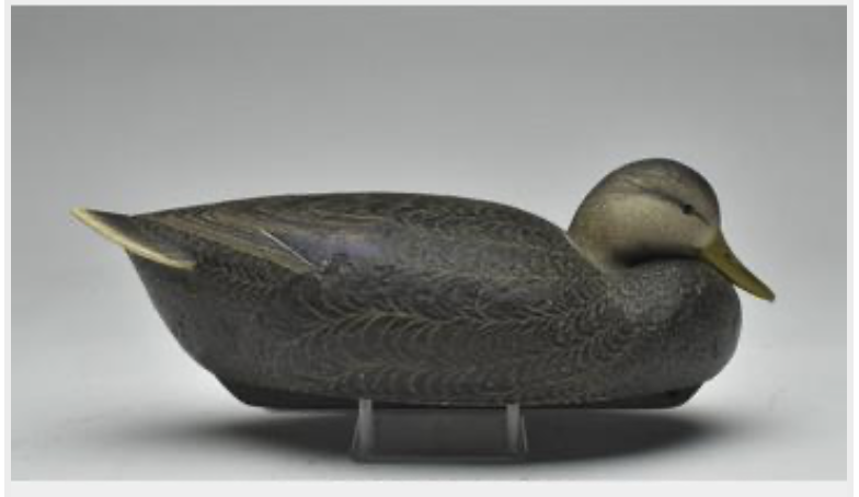 Marty Hanson – Black Duck