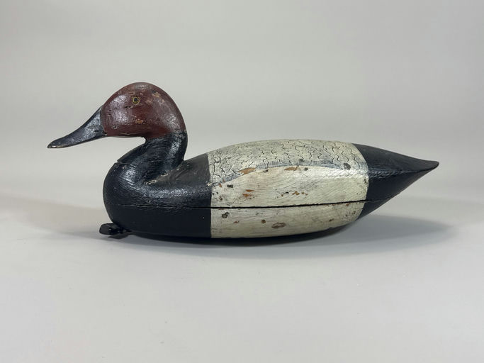 Joe King – Canvasback – 2026