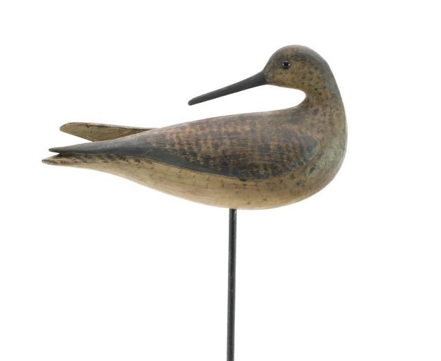 Mark McNair – Willet – 2024