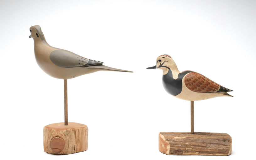 Harry V. Shourds – Ruddy Duck – 2026