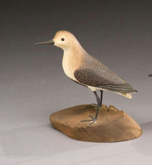 Davison B. Hawthorne – Life-Size Dunlin – 2009