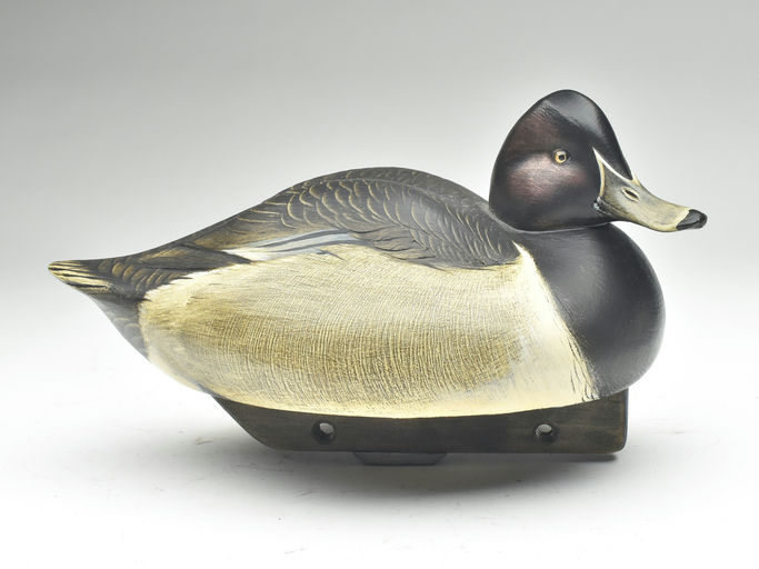 Jim Schmiedlin – Ringneck Drake – 2023