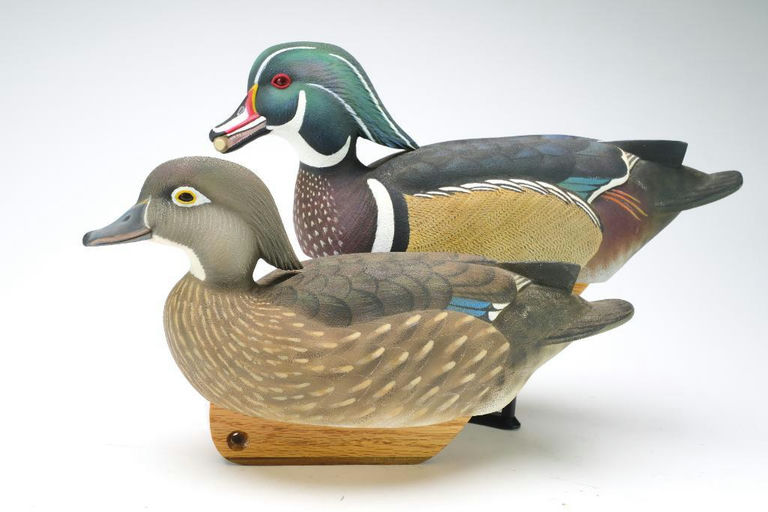Tom Matus – Pair of Wood Duck – 2024