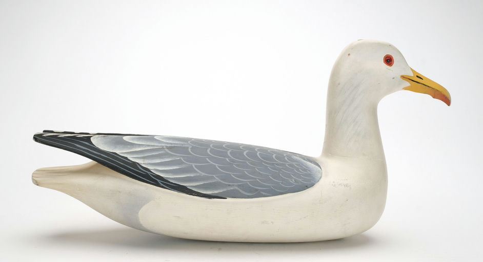 Oliver Lawson – Gull – 2026