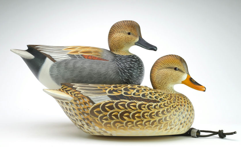 Ben A. Heinemann – Gadwall – 2024