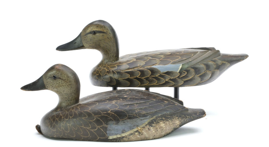 David W. Nichol – Blue-winged Teal – 2025