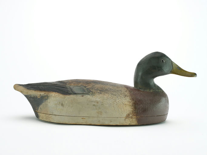 Ben Schmidt – Mallard – 2024