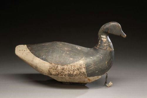 Lemuel N. Ackerly – Roothead Brant – 2007