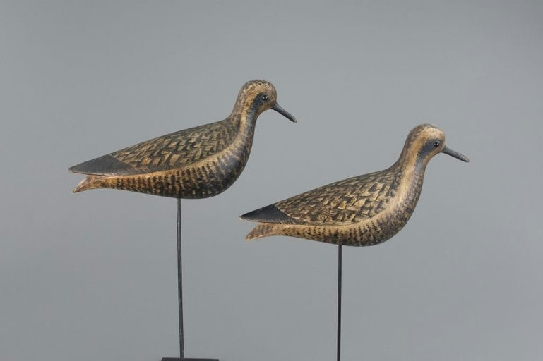 Cameron McIntyre – Golden Plover Pair – 2025