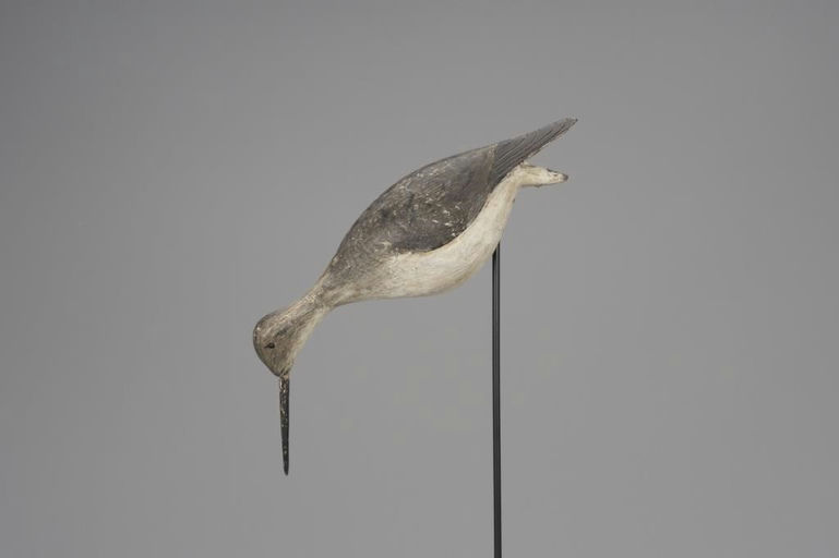 Elisha Burr – Feeding Yellowlegs – 2018