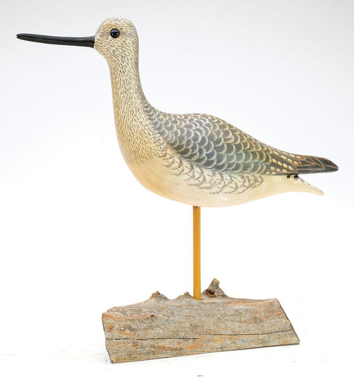Cigar Daisey – Yellowlegs – 2024