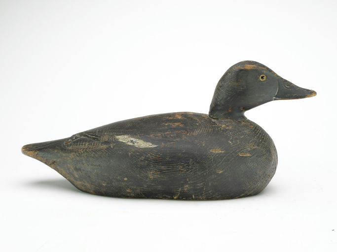 Elmer Crowell – Scoter – 2025